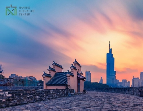 Nanjing literature center
